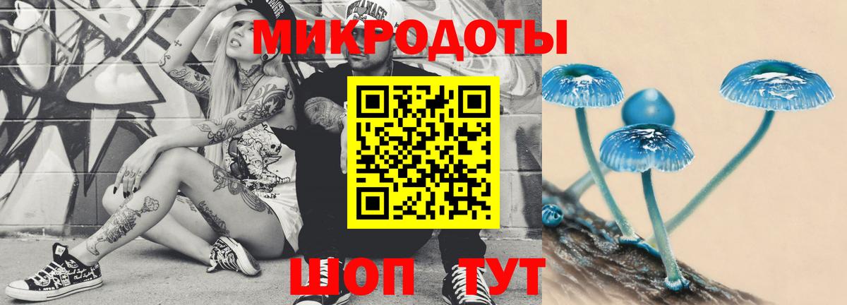 Саров  Псилоцибиновые грибы ЛСД  Вход с VPN  Галлюциногенные грибы мухоморы 