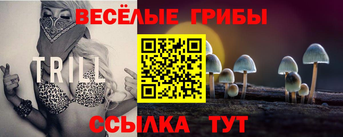 Псилоцибиновые грибы Psilocybe Саров